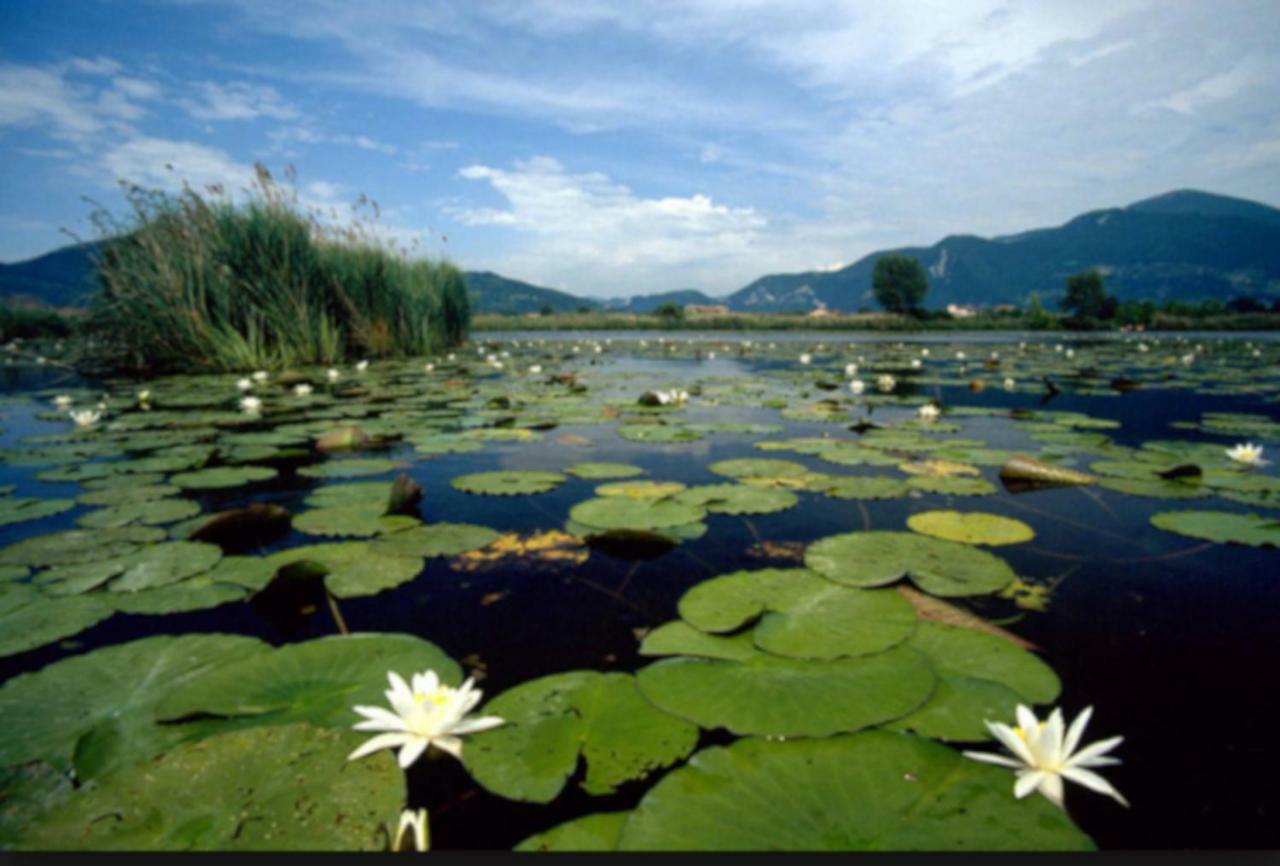 Iseo Lake Home Nature & Relax Exteriör bild